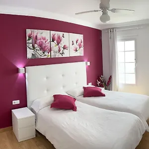 https://el-sueo-ocean-lanzamar.in-canary-islands.com